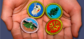 Scout and Youth Patches